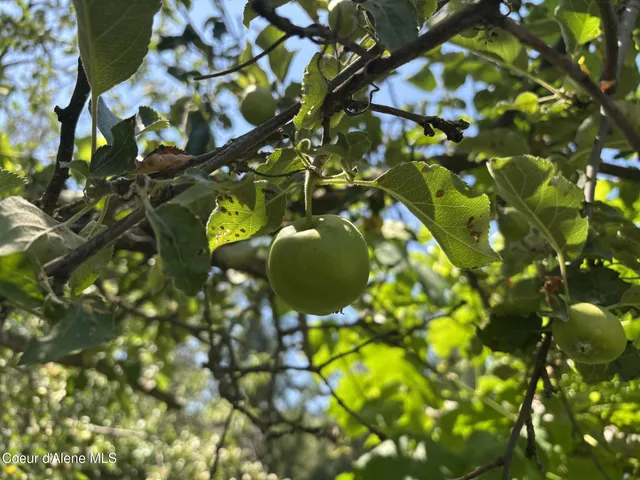 $799,000 | 2447 Turner Hill Road, Bonners Ferry, ID 83805