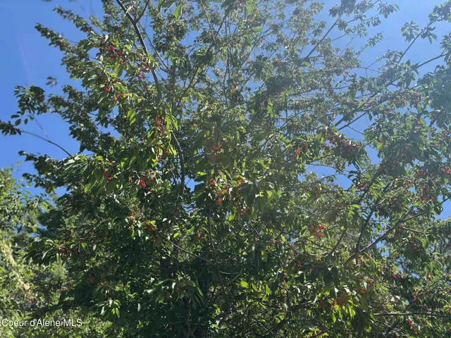 $799,000 | 2447 Turner Hill Road, Bonners Ferry, ID 83805