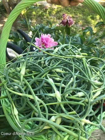 $799,000 | 2447 Turner Hill Road, Bonners Ferry, ID 83805