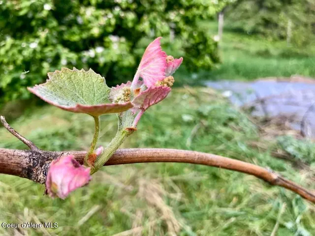 $799,000 | 2447 Turner Hill Road, Bonners Ferry, ID 83805