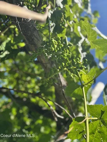 $799,000 | 2447 Turner Hill Road, Bonners Ferry, ID 83805