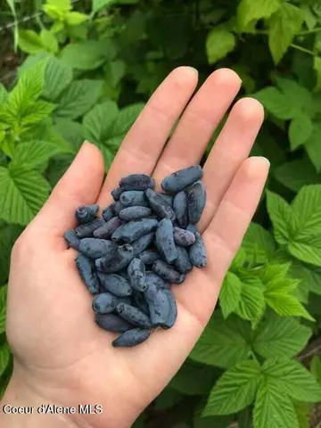 $799,000 | 2447 Turner Hill Road, Bonners Ferry, ID 83805