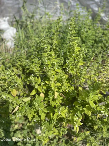 $799,000 | 2447 Turner Hill Road, Bonners Ferry, ID 83805