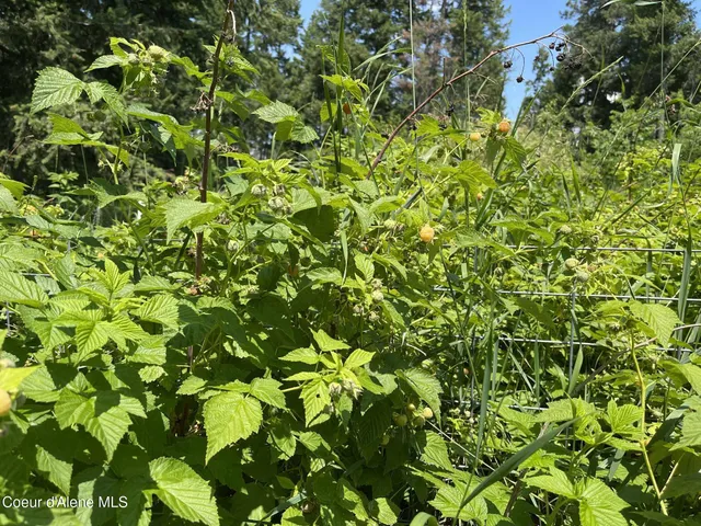 $799,000 | 2447 Turner Hill Road, Bonners Ferry, ID 83805