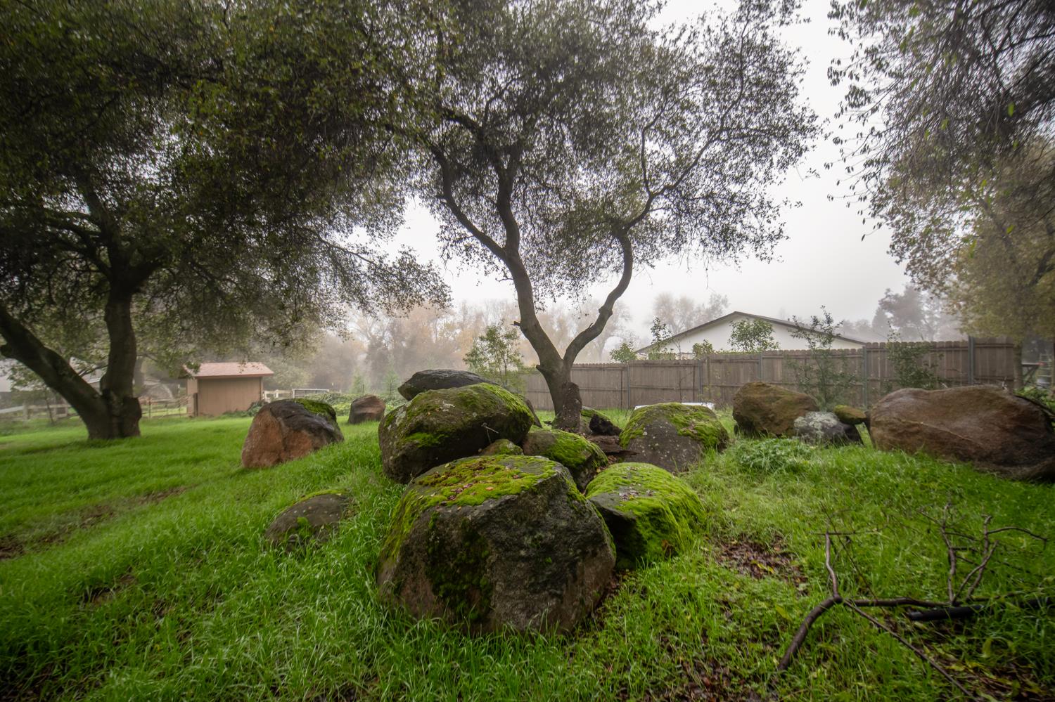 3181 Ditmars Lane Loomis, CA 95650 - Photo 32 of 42