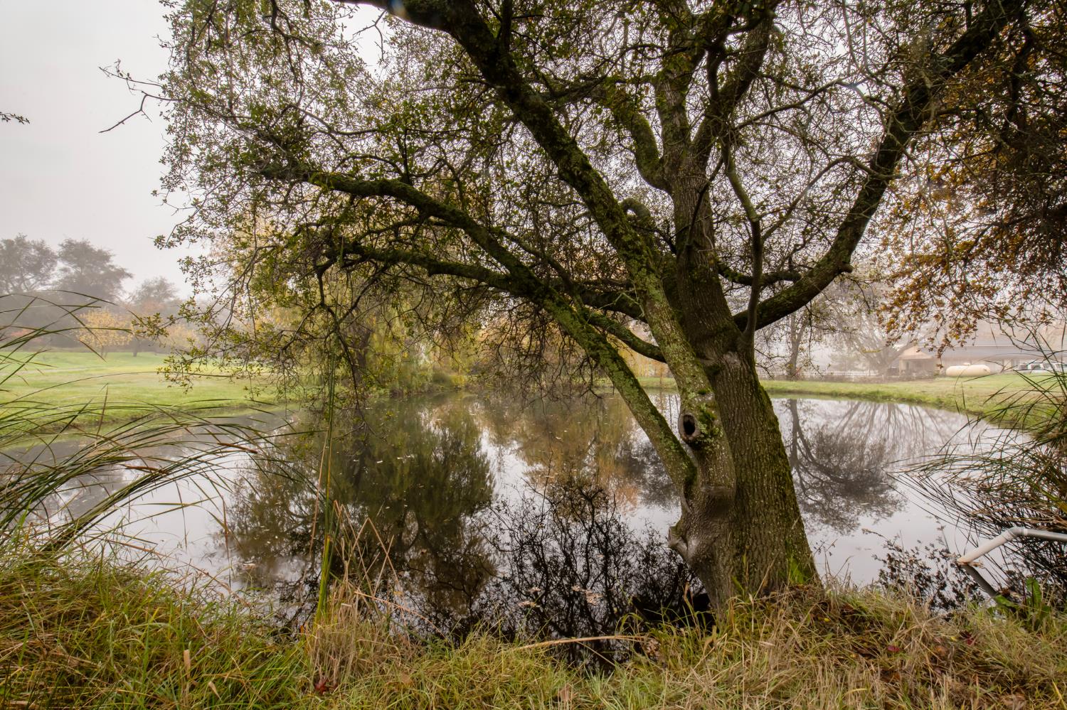 3181 Ditmars Lane Loomis, CA 95650 - Photo 39 of 42