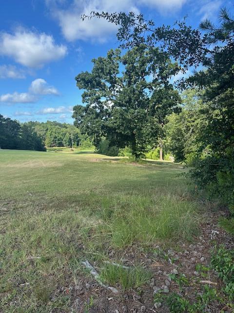 Fairway #14, tree, lot