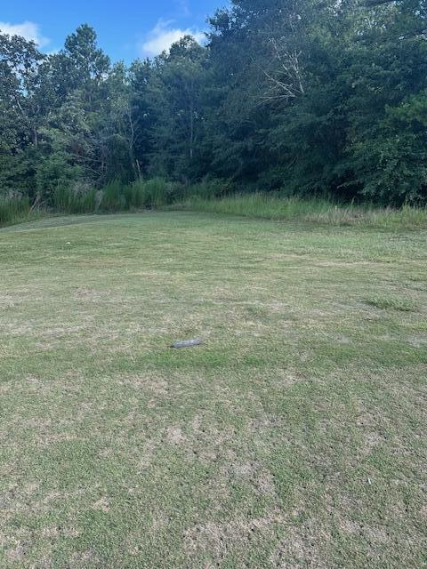 7 Surrey Road Thomson, GA 30824 - Photo 2 of 4 Tree right