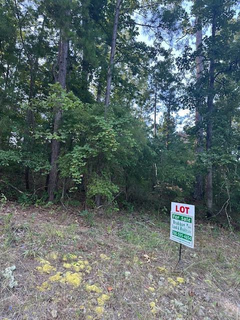 7 Surrey Road Thomson, GA 30824 - Photo 3 of 4 Surry side sign