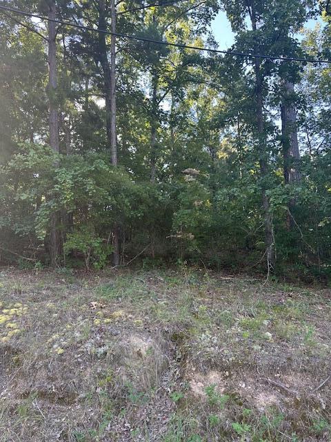 7 Surrey Road Thomson, GA 30824 - Photo 4 of 4 Surrey front woods