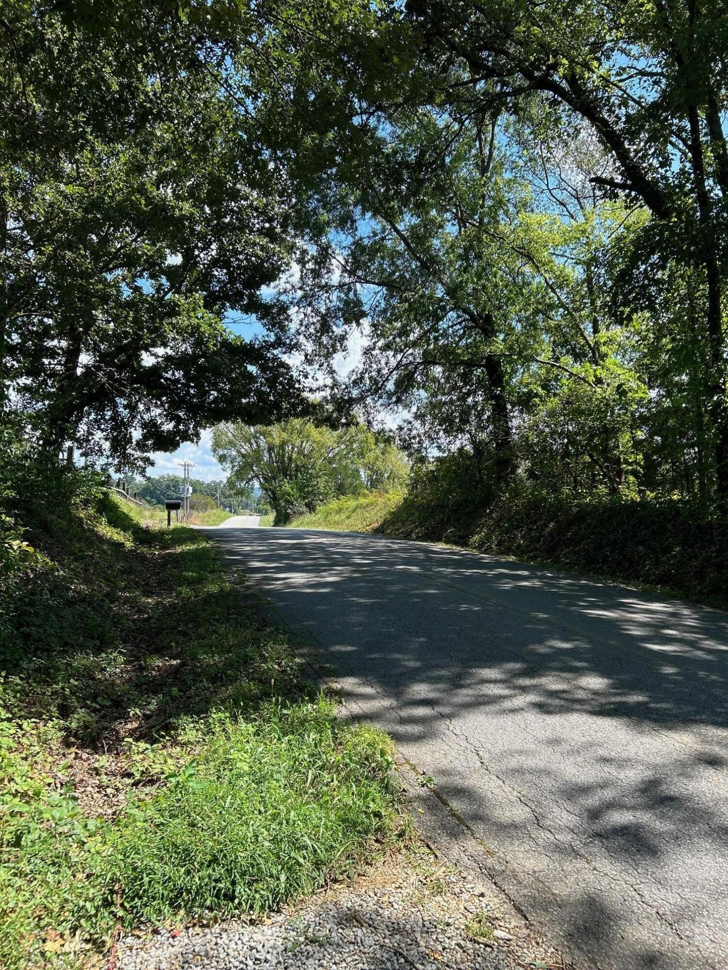 7 Euchee Road Ten Mile, TN 37880 - Photo 3 of 35