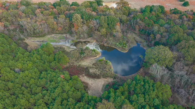 an aerial view of a house with a yard and large trees
