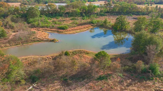 a view of a lake in between two trees