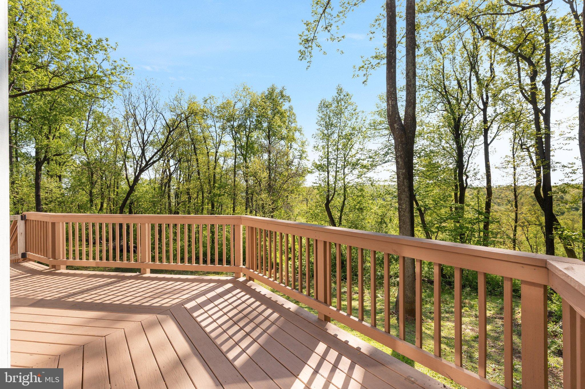 2668 High Top Road Linden, VA 22642 - Photo 49 of 73 2E6A9890_2668 High Top Rd - Absolute Altitude - 5