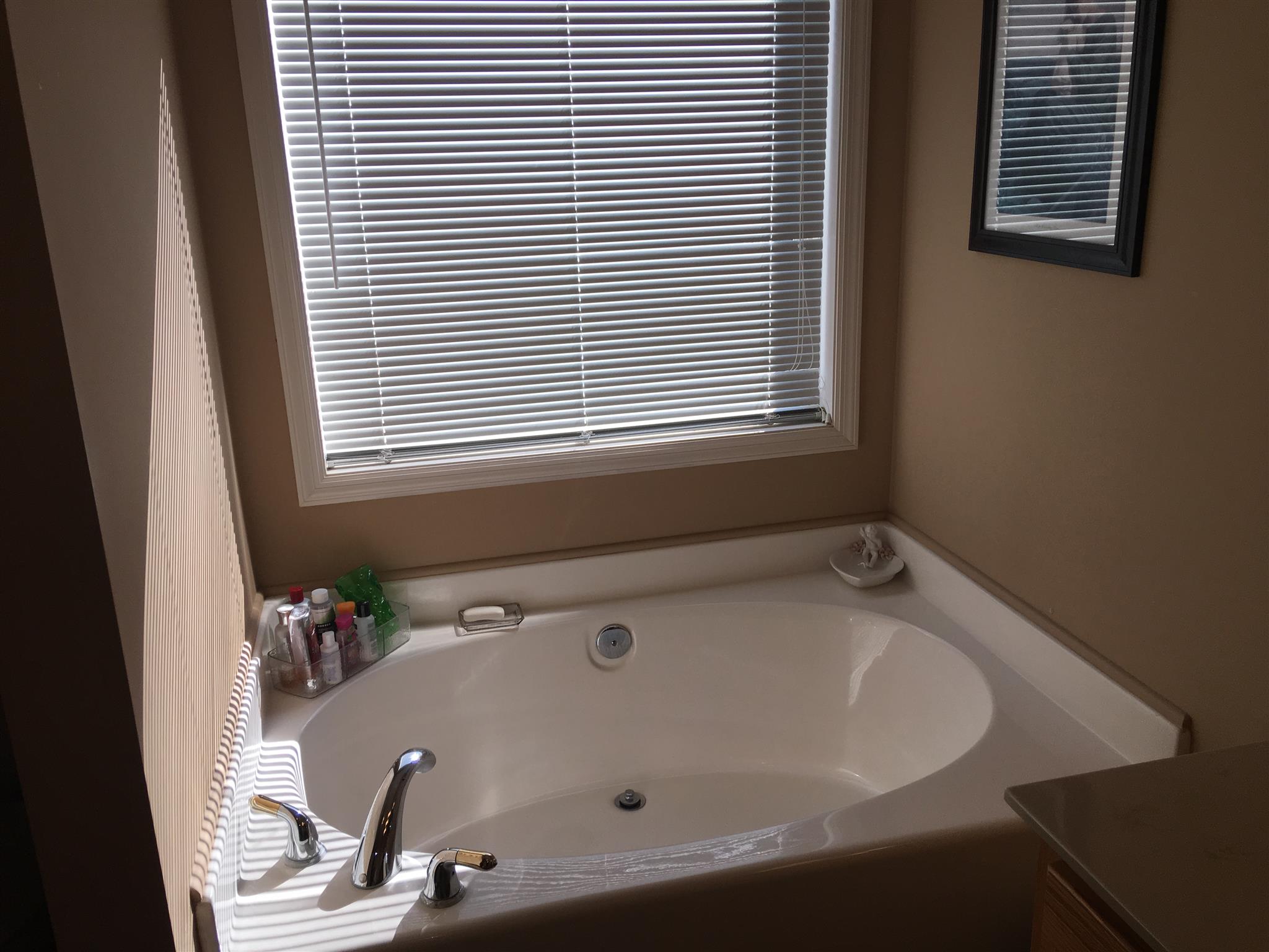 1147 Simms Heights Road Kingston Springs, TN 37082 - Photo 19 of 30 Separate Garden Tub with large window for beautiful natural light to flood in.