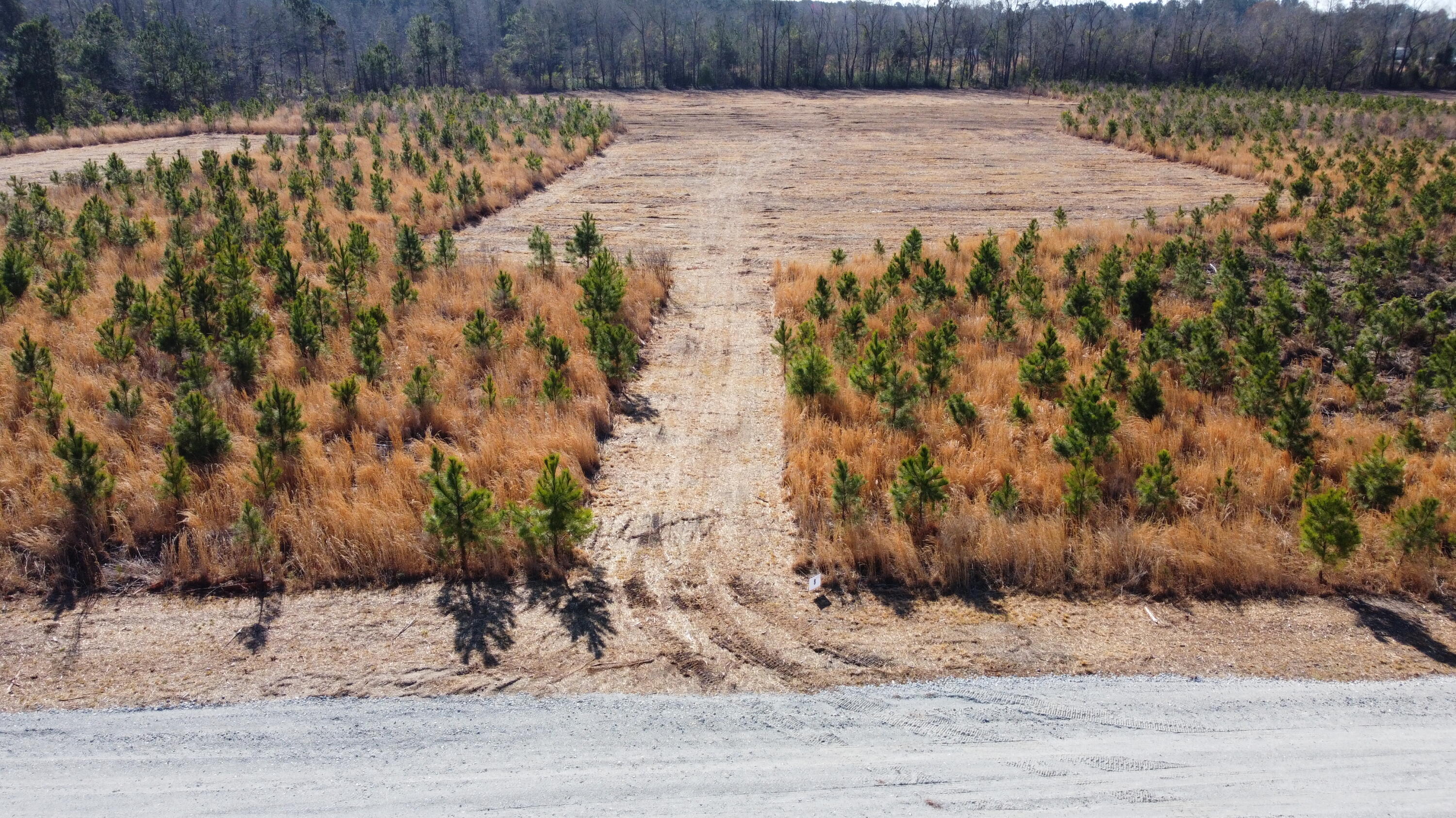 8 Highway 6 Cross, SC 29436 - Photo 2 of 9 DJI_0165