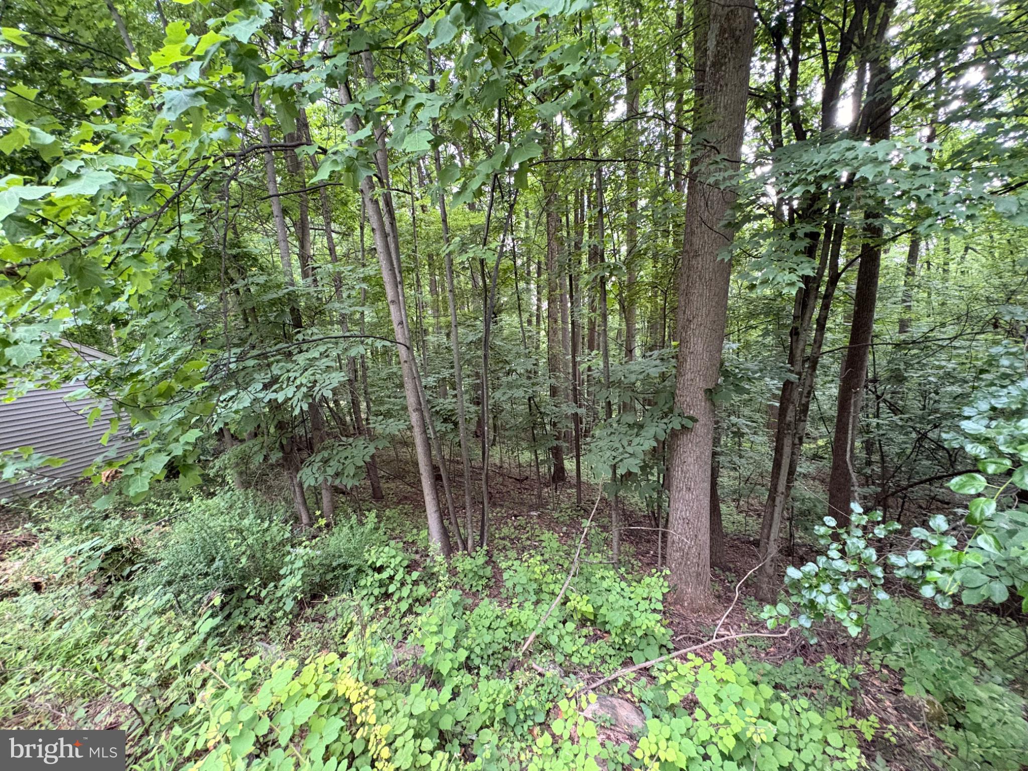 52 Hess Road Boyertown, PA 19512 - Photo 97 of 101 Serene woodland retreat awaits you.