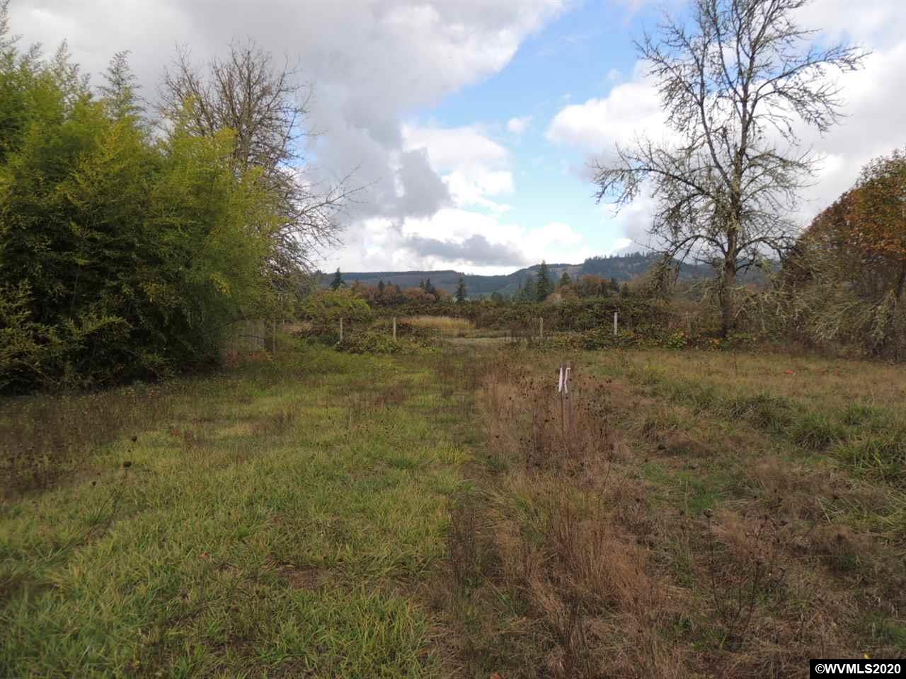 Long Street Sweet Home, OR 97386 - Photo 12 of 21