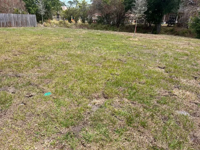 a view of a yard with a tree