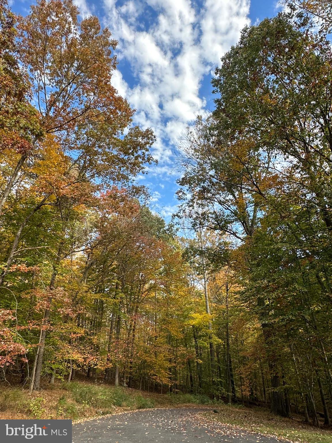 7200 Wesley Tyler Road Clifton, VA 20124 - Photo 80 of 80 Gallery Image 80
