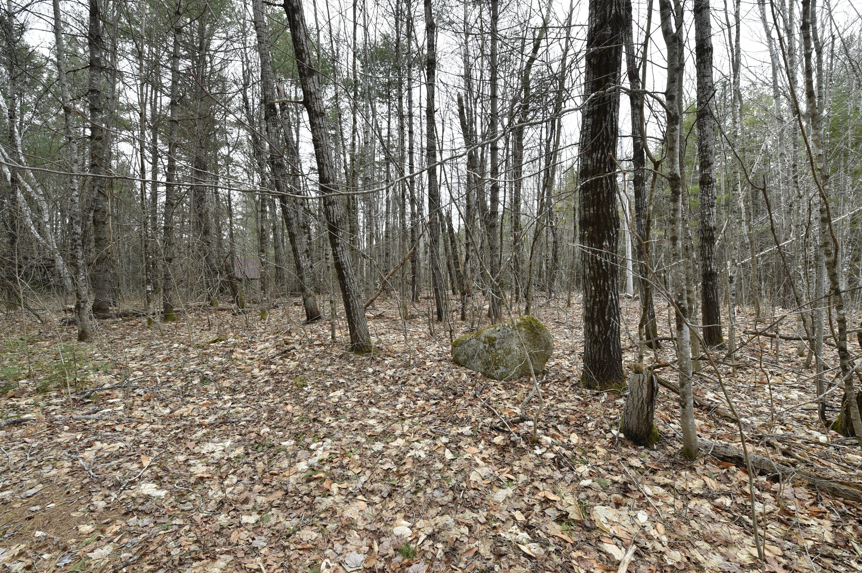 Lot 7 South Road Lee, ME 04455 - Photo 6 of 10 DSC_5455