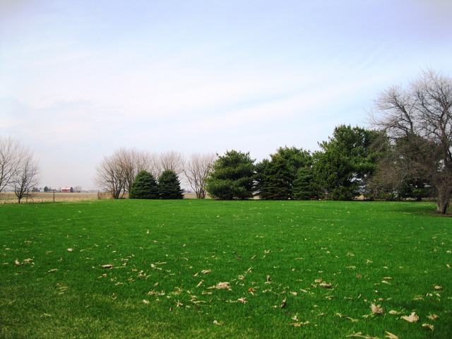 8720 Elva Road DeKalb, IL 60115 - Photo 21 of 25 a view of a field of grass and trees