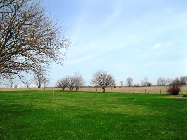 8720 Elva Road DeKalb, IL 60115 - Photo 22 of 25 a backyard of a house with lots of green space