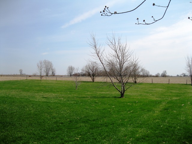 8720 Elva Road DeKalb, IL 60115 - Photo 23 of 25 a view of yard with entertaining space