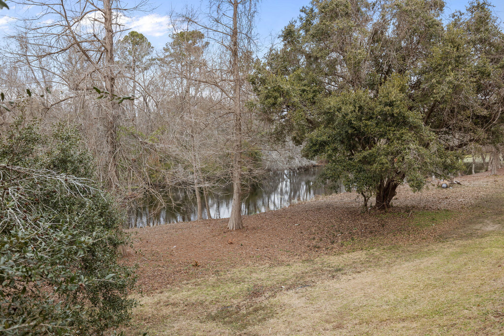 9057 Parlor Drive Ladson, SC 29456 - Photo 22 of 28 40-web-or-mls-470A7980