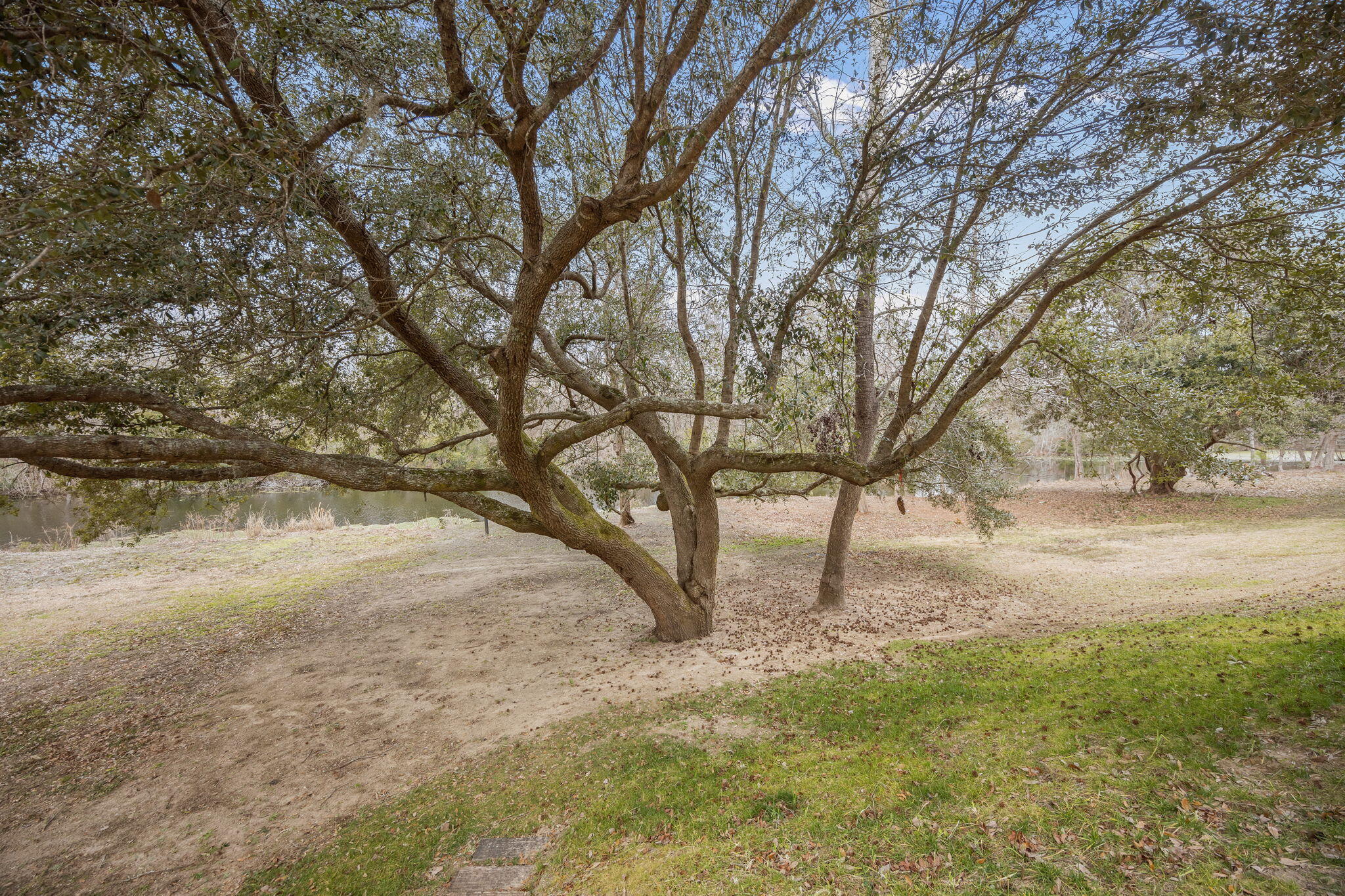 9057 Parlor Drive Ladson, SC 29456 - Photo 23 of 28 42-web-or-mls-470A7982