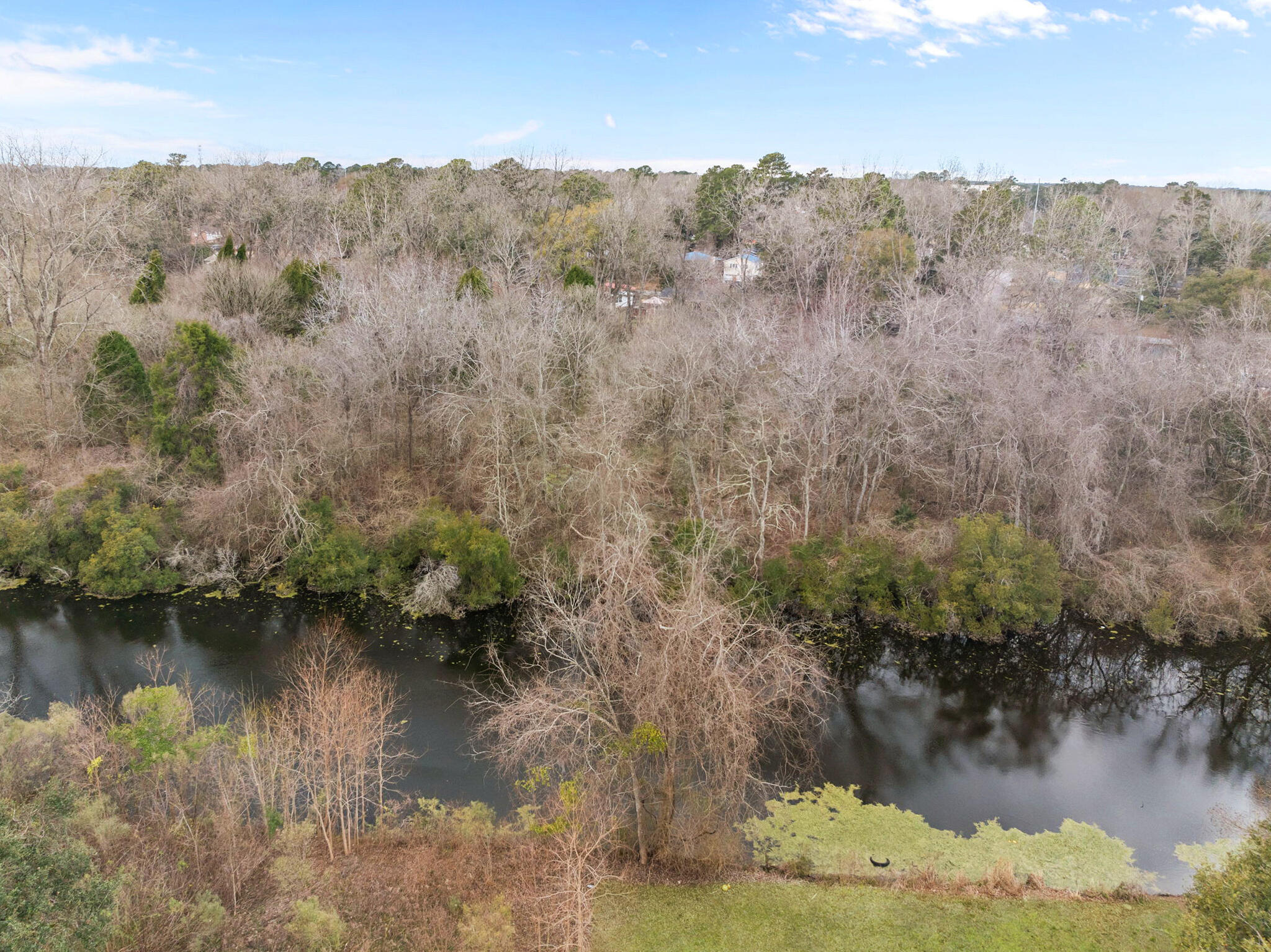 9057 Parlor Drive Ladson, SC 29456 - Photo 26 of 28 50-web-or-mls-DJI_0314