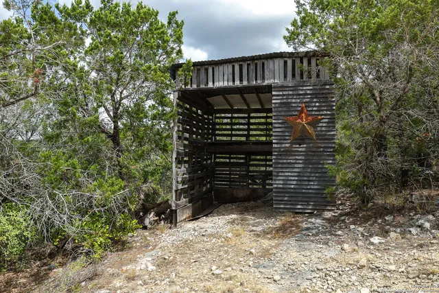 a view of yard with tree in the background