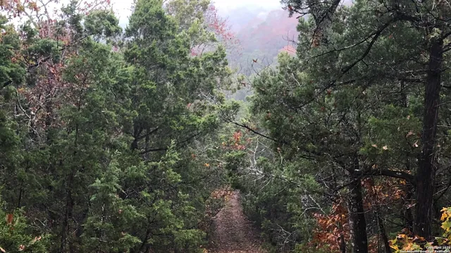 a view of a house with a yard and trees