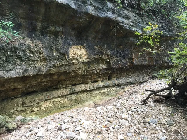 a view of outdoor space with garden and trees