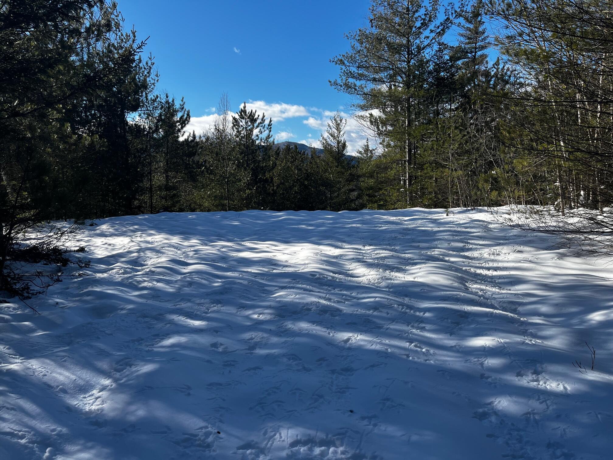 Lot 3 Mt Tumbledown Road Bethel, ME 04217 - Photo 3 of 18 IMG_3077