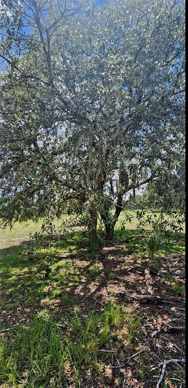 562 Libby Road Babson Park, FL 33827 - Photo 38 of 42