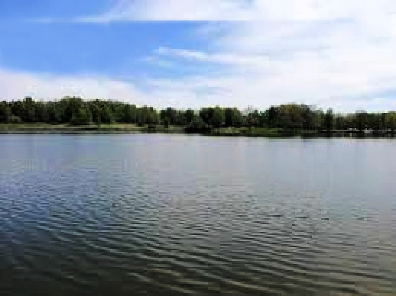 2636 South Homer Lake Road Homer, IL 61849 - Photo 127 of 176