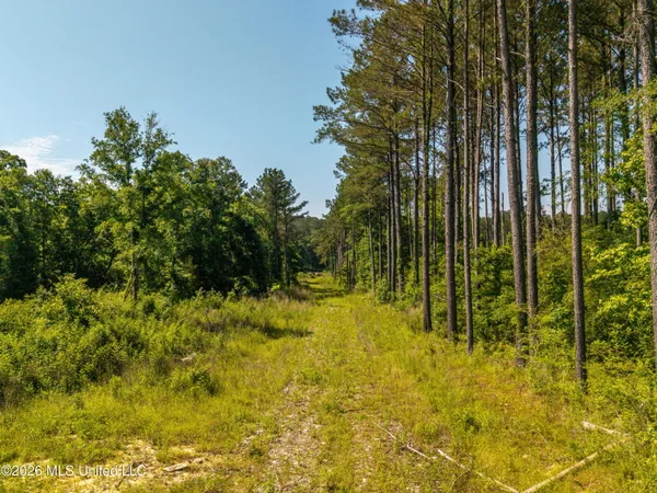 $132,325 | 0 East Doc Clark Road, Morton, MS 39117