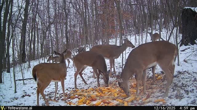 6257 Caddy Road Southwest Bowerston, OH 44695 - Photo 26 of 44