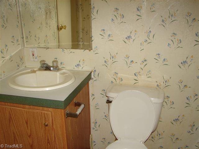 5482 Doc Hayworth Road Ramseur, NC 27316 - Photo 10 of 15 Gallery Image 10