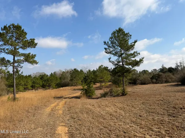 $144,300 | Johnson Road, Sandy Hook, MS 39478