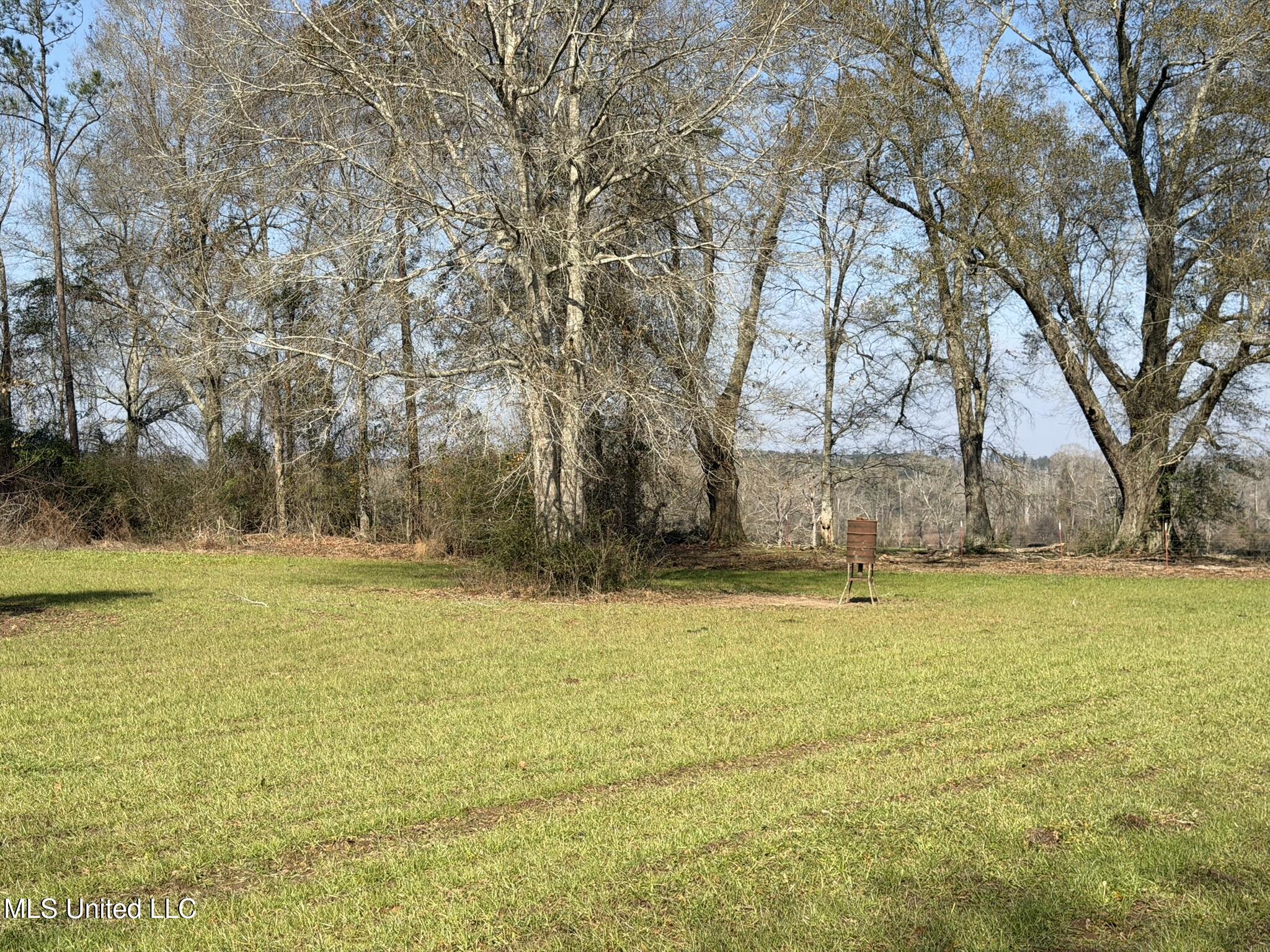 Johnson Road Sandy Hook, MS 39478 - Photo 11 of 28 1070366A-90C3-4C8B-8E31-551E9F50D092_1_1