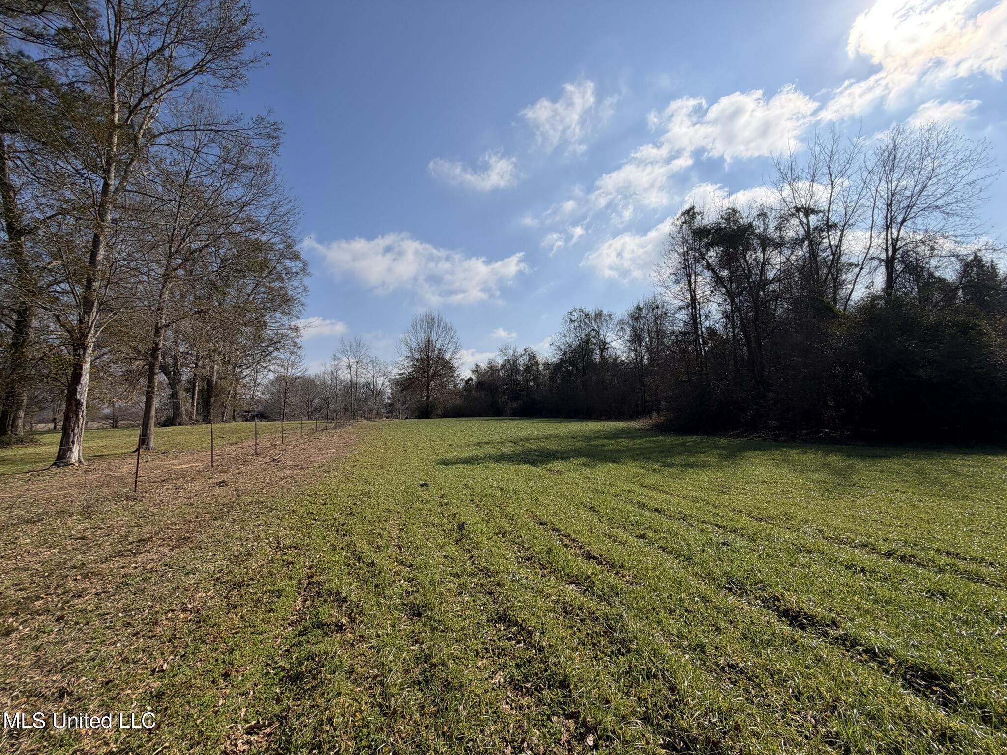 Johnson Road Sandy Hook, MS 39478 - Photo 12 of 28 209BCAB9-D056-4AF8-A08B-1AEA50BC173B_1_1