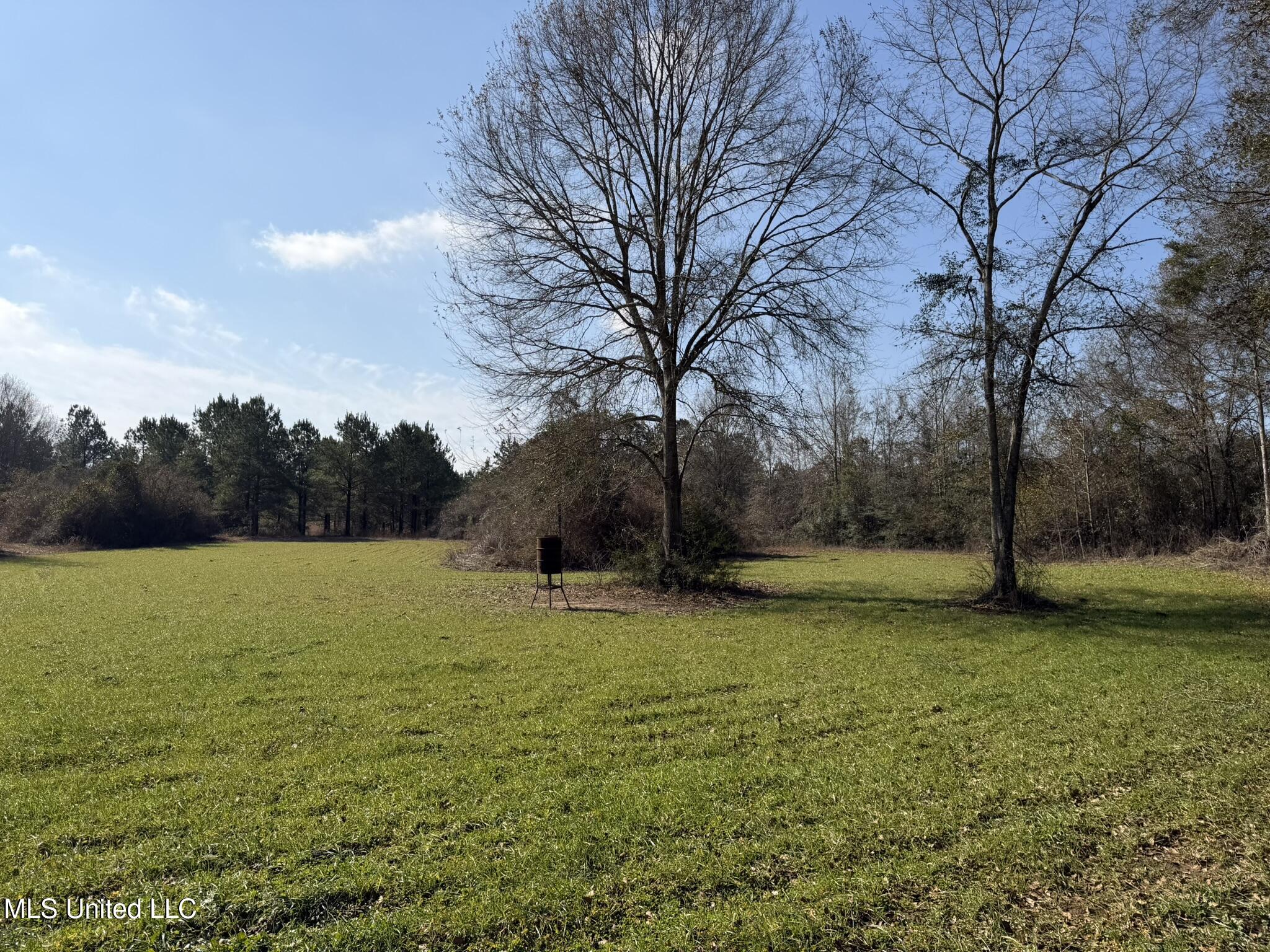 Johnson Road Sandy Hook, MS 39478 - Photo 13 of 28 3E1CDBF9-E575-447E-BC59-71F36060B38C_1_1