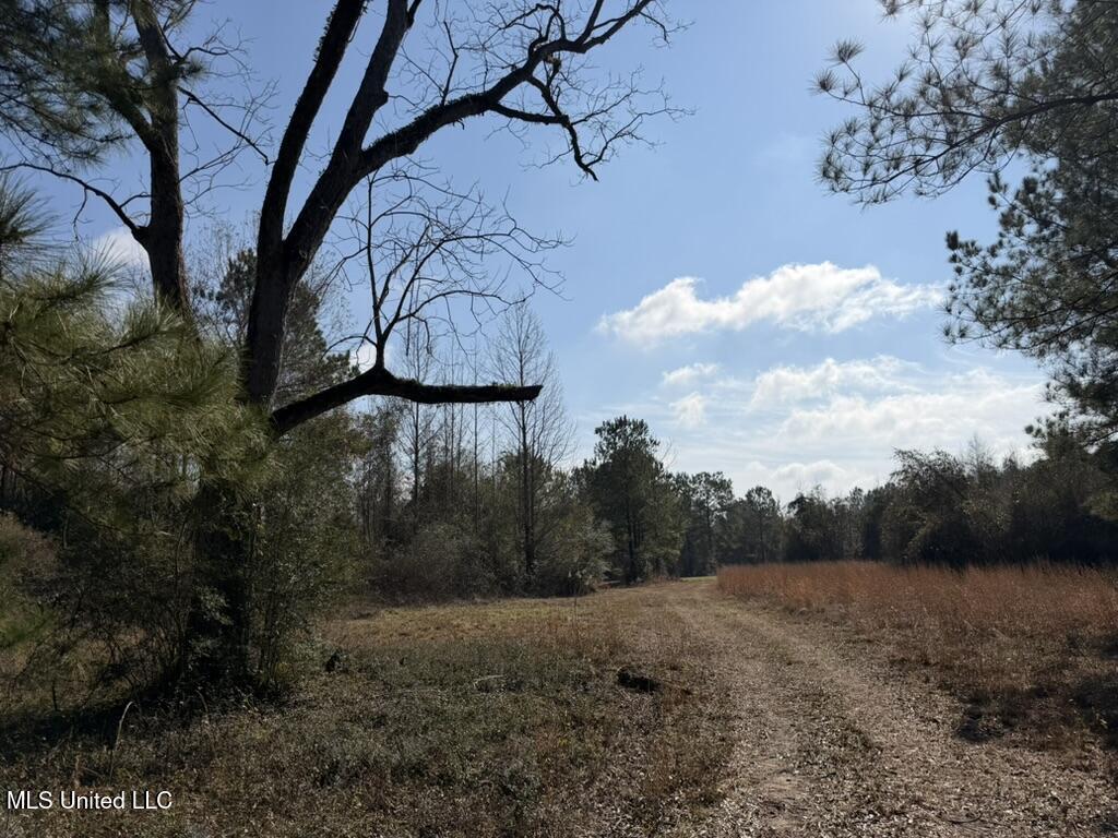 Johnson Road Sandy Hook, MS 39478 - Photo 15 of 28 7E72EAE3-B233-4C21-BC18-D32302BD648E_1_1