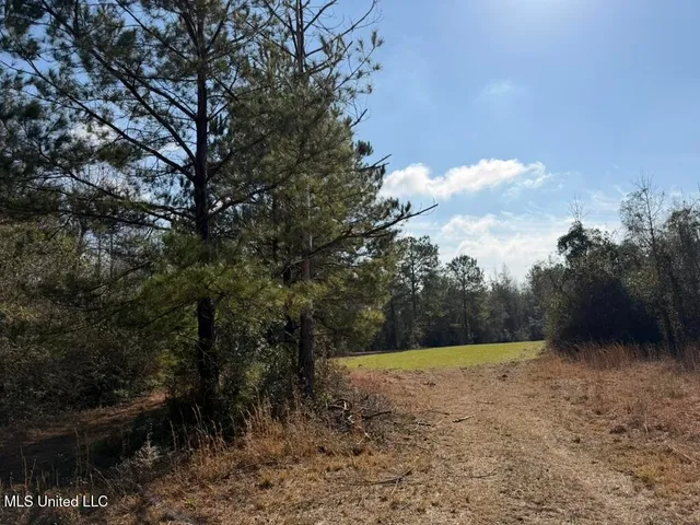 $144,300 | Johnson Road, Sandy Hook, MS 39478