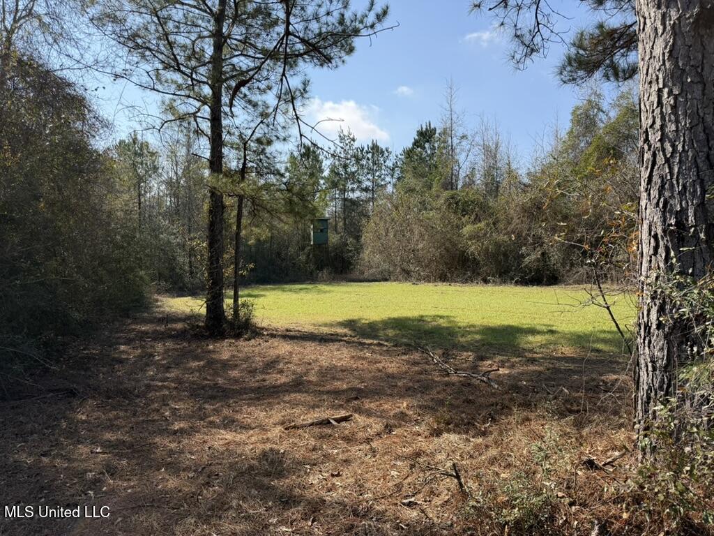 Johnson Road Sandy Hook, MS 39478 - Photo 17 of 28 52738F73-8783-43AB-A729-410A2D33D5C2_1_1