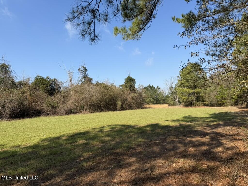 Johnson Road Sandy Hook, MS 39478 - Photo 18 of 28 65AA3AA1-6220-451C-A6DD-040FEA657B03_1_1