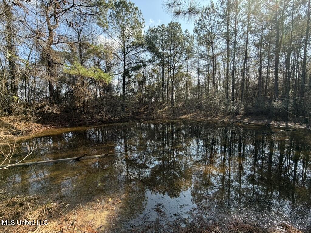 Johnson Road Sandy Hook, MS 39478 - Photo 19 of 28 3792A9FD-02D2-45E2-BAB9-E6E914F9E083_1_1