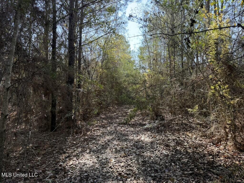 Johnson Road Sandy Hook, MS 39478 - Photo 20 of 28 C666A786-E08F-4E80-9A05-3CA4E8B1D1EE_1_1